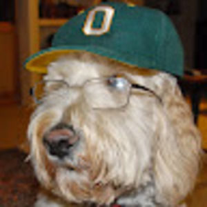 Meet your Posher, Jack